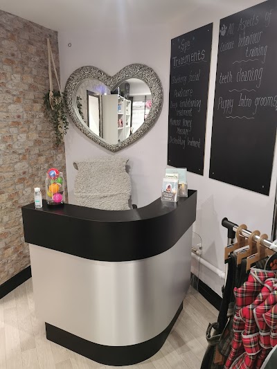 Grooming Van Image