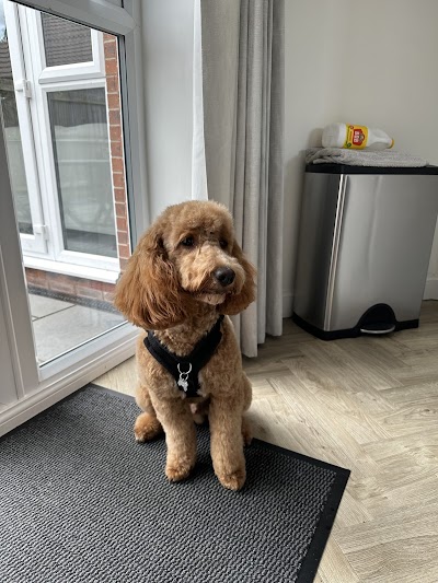 Grooming Van Image
