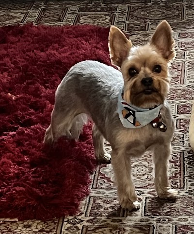 Grooming Van Image