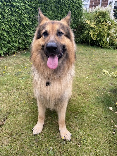 Grooming Van Image