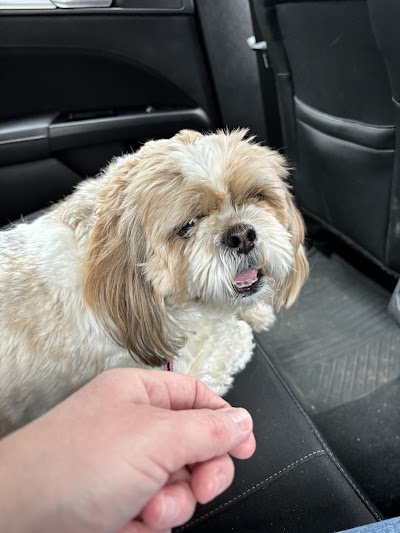 Grooming Van Image