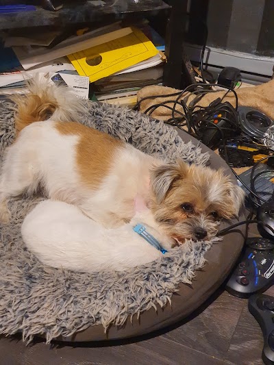 Grooming Van Image