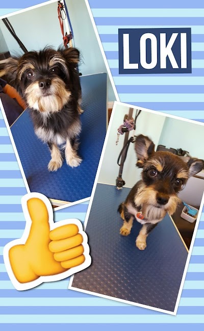 Grooming Van Image