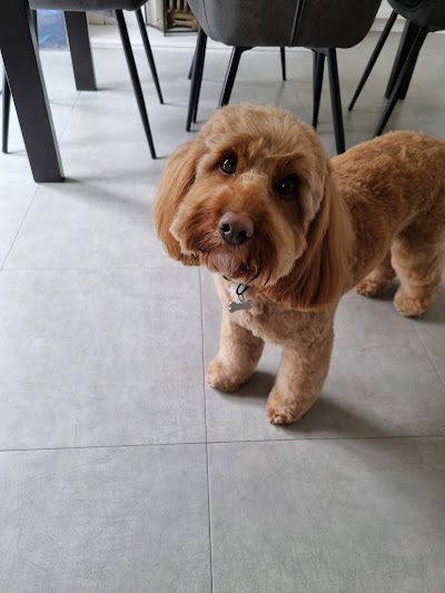 Grooming Van Image