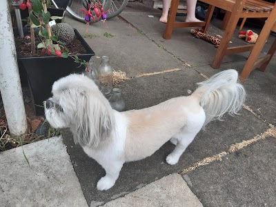 Grooming Van Image