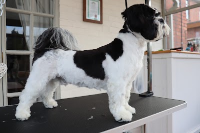 Grooming Van Image