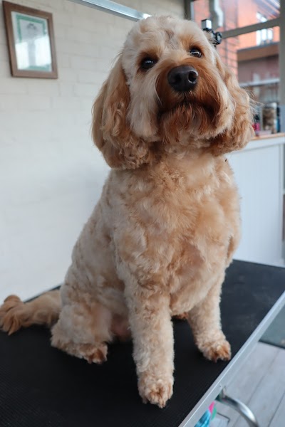 Grooming Van Image