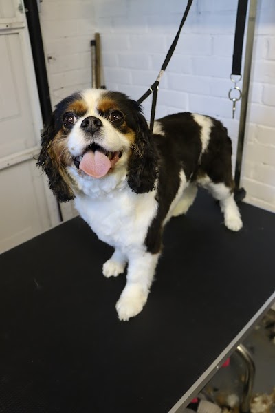 Grooming Van Image
