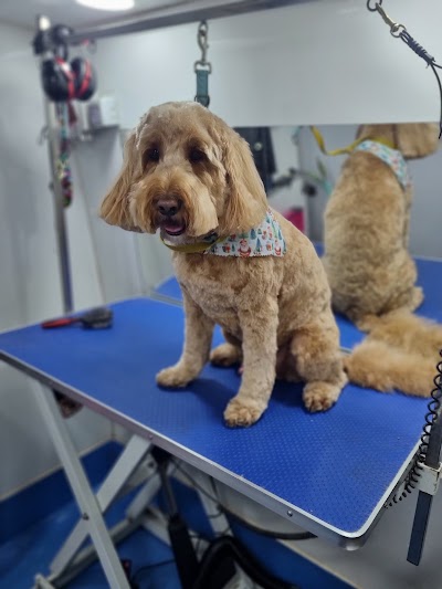 Grooming Van Image