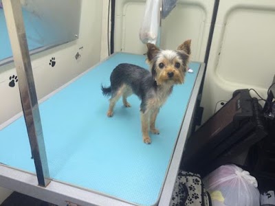 Grooming Van Image