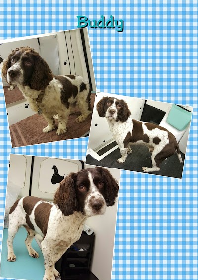 Grooming Van Image