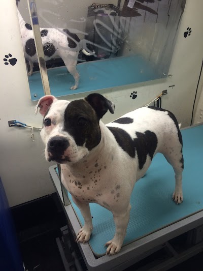 Grooming Van Image