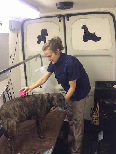 Grooming Van Image