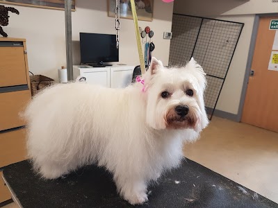 Grooming Van Image