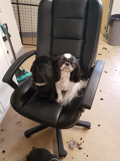 Grooming Van Image