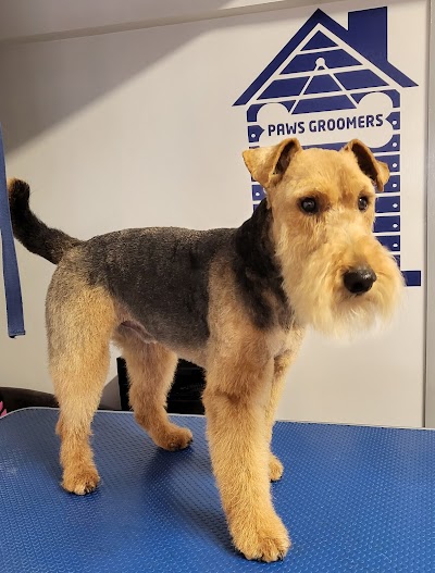 Grooming Van Image