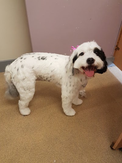 Grooming Van Image