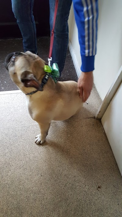 Grooming Van Image