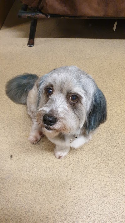 Grooming Van Image