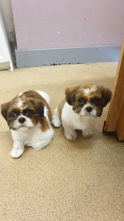 Grooming Van Image