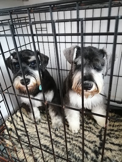 Grooming Van Image