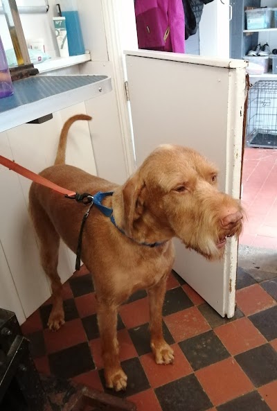 Grooming Van Image