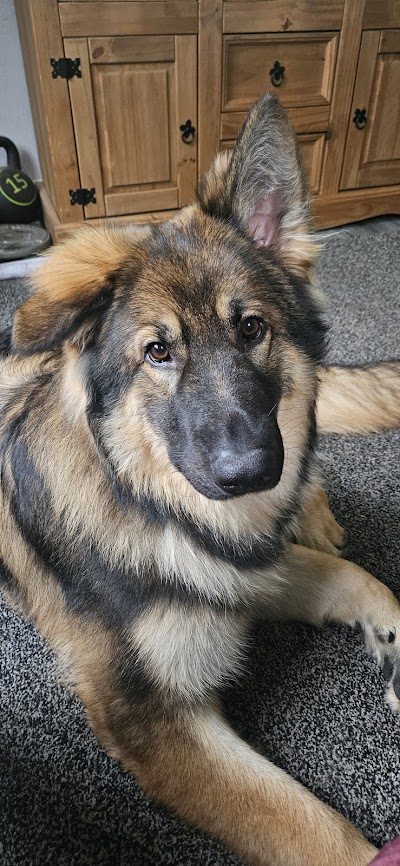 Grooming Van Image