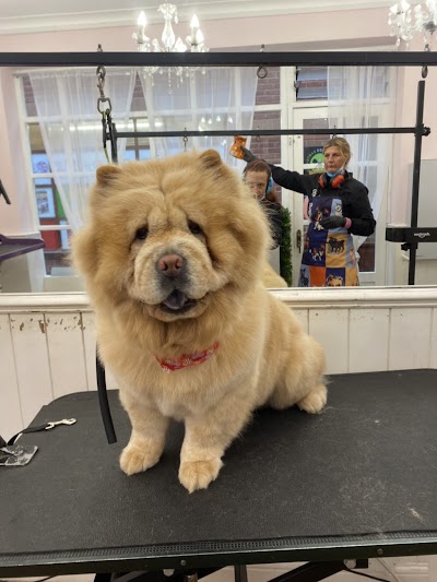 Grooming Van Image