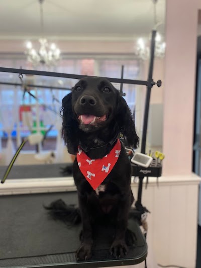 Grooming Van Image