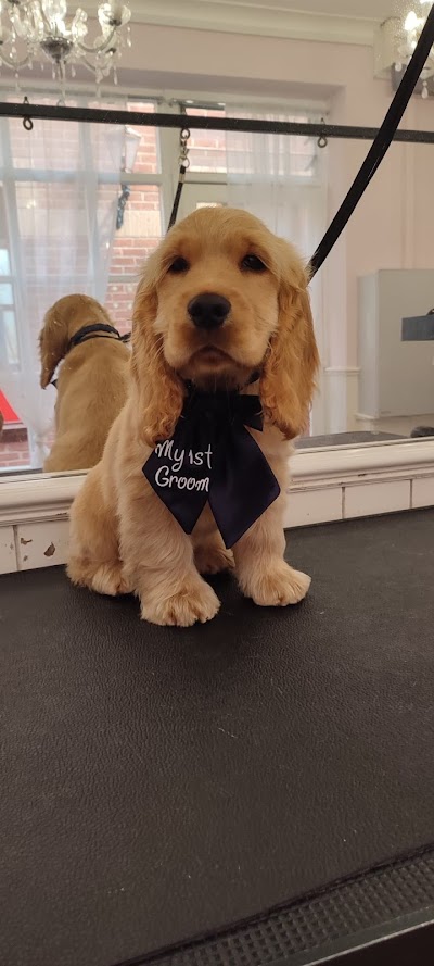 Grooming Van Image