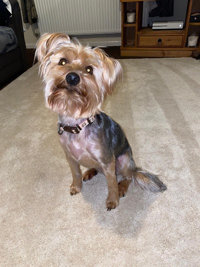 Grooming Van Image