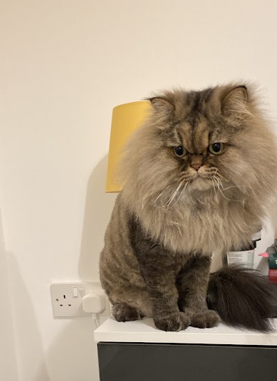 Grooming Van Image