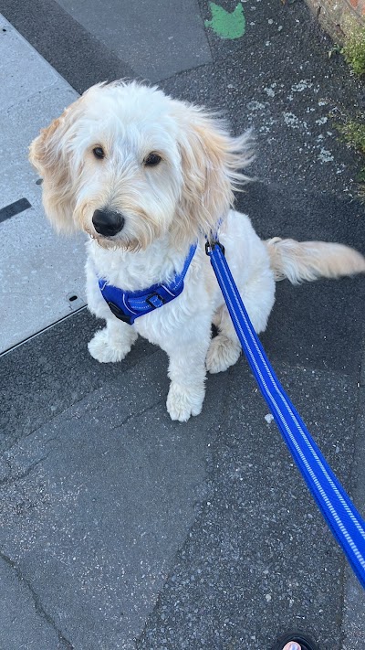 Grooming Van Image