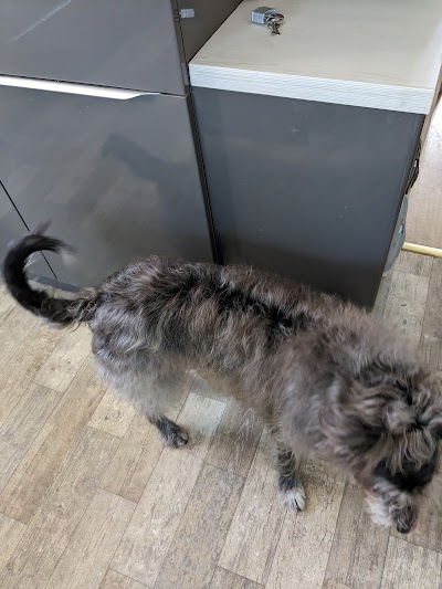 Grooming Van Image