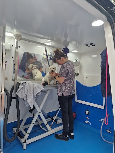 Grooming Van Image