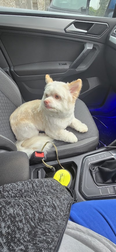 Grooming Van Image
