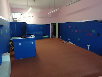 Grooming Van Image