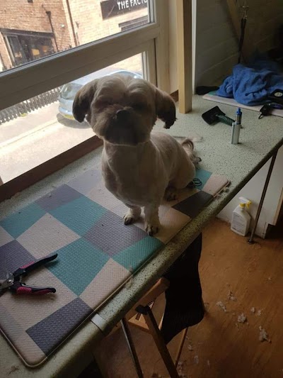 Grooming Van Image