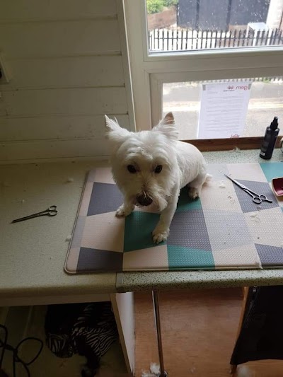 Grooming Van Image