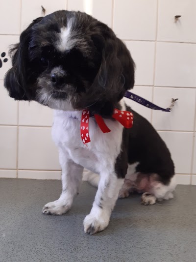 Grooming Van Image