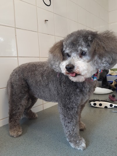 Grooming Van Image
