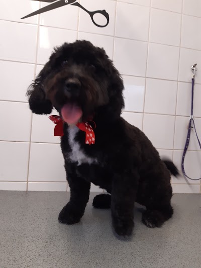Grooming Van Image