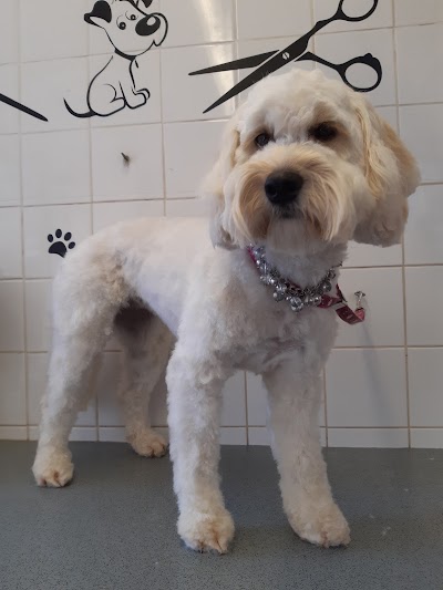 Grooming Van Image