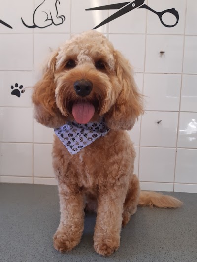 Grooming Van Image