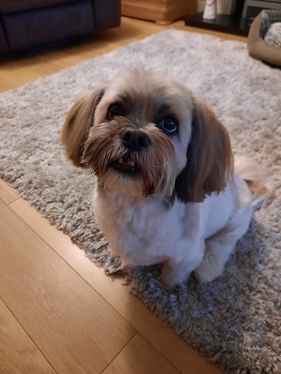 Grooming Van Image