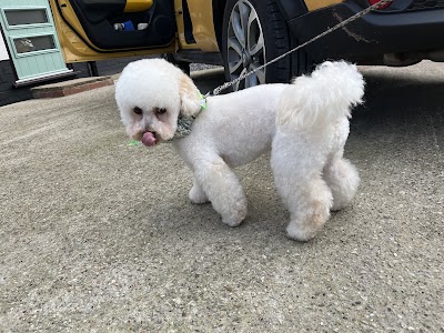 Grooming Van Image