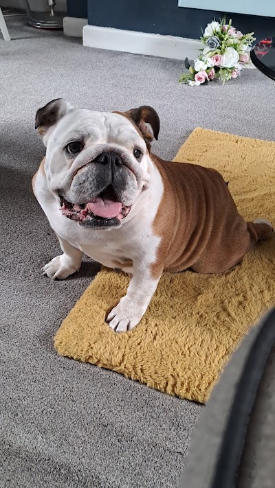Grooming Van Image
