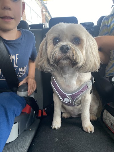 Grooming Van Image