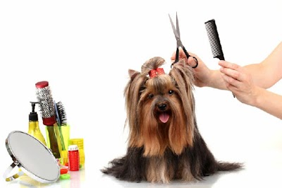 Grooming Van Image