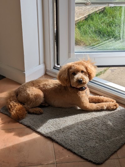 Grooming Van Image